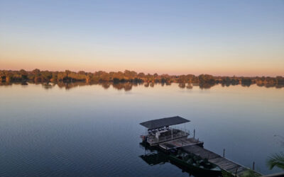 Coming ‘Home’ to Zambia: Why Some Journeys Heal More Than Others